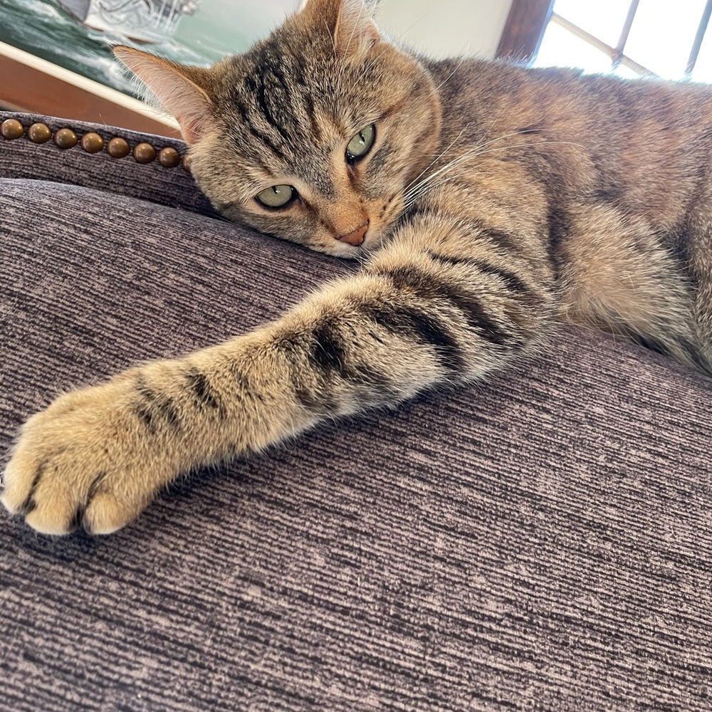 Meet your Posher, Catherine